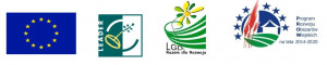 logo konsultacje