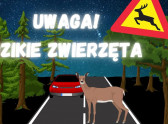 xga-16x9-kierowco-uwazaj-na-dzikie-zwierzeta-1678706073